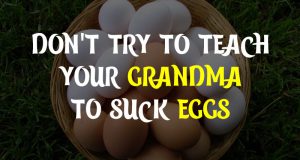 Don't try to teach your Grandma to suck eggs
